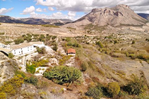 Cortijo i Velez-Blanco, Almeria, Velez-Blanco - € 475.000 | Ref: 2290-CH - foto 4